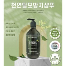 헤나프로천사 식약처 인정받은 탈모방지 샴푸 흑마늘 생생헤나 정경순 500ml, 천연탈모방지샴푸