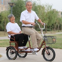 유아동반자전거 어르신 노인 할아버지 할머니 자전거, 16인치 검은색 야채 바구니 접이식 핸들바