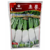 무씨 무 씨앗 여름가을무 초롱무씨앗 2000립