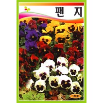 식용꽃 씨앗] 팬지 혼합 100립