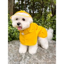 강아지 우비 레인코트, 레몬 옐로우
