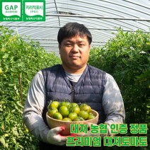 GAP 부산 강서구 산지직송 대저토마토/짭짤이토마토 2.5KG, 대저 짭짤이토마토 로얄과 소과 2.5kg