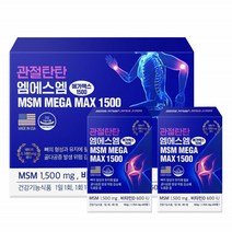 엠에스엠 MSM 비타민D 관절 탄탄 연골 뼈 영양제 120정