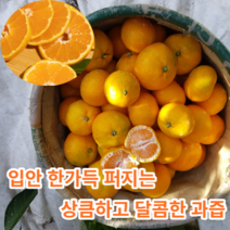 [제주산지직송] 마미템 제주 비가림 하우스 귤 3kg 5kg 10kg 고당도, 감귤5kg(2S-M)