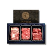 국내산 농협안심한우 1등급 설 명절 명픔 프리미엄 부모님 선물세트 등심 채끝 특수부위 1kg 1.2kg, 명품한우선물세트 2호