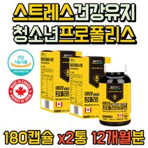 면역영양제 프로폴리스 원액 캡슐 스트레스 유해환경 인스턴트 건강유지 활성산소 억제 환절기 청소년 성장기 어린이 고3 고등학생 중학생 수험생 영양제 플라노보이드 12개월 추천