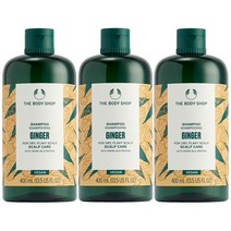 [더바디샵][2+1] 대용량 진저 샴푸 기획 세트 (진저 스캘프 케어 샴푸 1200ML) 97908, 샴푸2+1, 없음