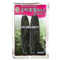미흑찰 옥수수씨앗 2500립 약75~100평 GMO아님 F1 찰옥수수 씨앗