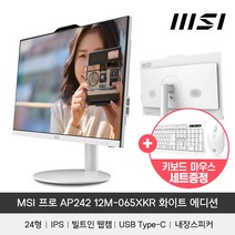 MSI PRO AP242 12M-065XKR 화이트 에디션 (16GB M.2 512GB)