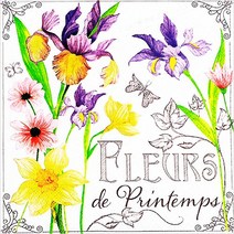 파스텔크래프트 ti-flair 냅킨아트 387010 Fleurs de Printemps 냅킨20매 33x33cm 2114, 20매입, 혼합색상