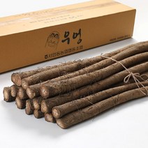 농협우엉특상품 파는곳 총정리
