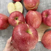 달티어 안동사과 홍로사과 부사 가정용 5kg, (정품) 홍로 중소과 7-9과2kg