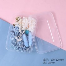 프리저브드플라워 프리저보드플라워박스 디퓨저 돔 미니 재료 프리자브드 플라워 혼합 말린, 하늘색