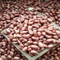 국산 여주 햇땅콩 생땅콩 볶음땅콩 500g, 1개