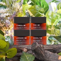 코너 CONER 향기카트리지 4SET 공간향기솔루션 전자 스마트 디퓨저 방향제, 퍼퓸타입 4 SET