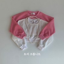 23봄 일센치 토리크롭니트
