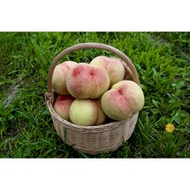 (햇사레)프리미엄 복숭아 4kg 2.5kg 크고 맛있는 빅숭아 달달하고 쫀득쫀득한 백도, 소과 2.5kg, 1개