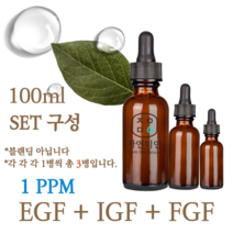 에코문 EGF+FGF+IGF 1ppm 3EA세트-100ml 원액 앰플 에센스, 1개, 100ml