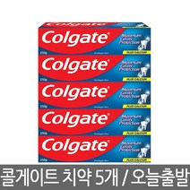 co) 콜게이트치약250g 5개/그레이트 레귤러 플레이버, 250g, 5개
