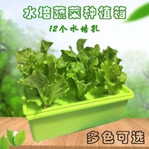 스마트 식물 수경재배기 상추 가정용 재배기 키트 새싹 제초매트 텃밭 온실 야채심기 실내자동, 기타, 친환경태양광증기형수조, 중등