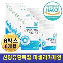 단백질보충제 WPI 단백질분말 정 산양유 프로틴 알약 엠비피 운동중 운동전후 분리유청단백 BCAA 아미노산 로이신 발린 이소로이신 유청칼슘 비타민 분리유단백분말 미셀라카제인