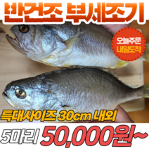 [당일출고] 반건조 부세조기 5마리 특대사이즈 (30cm 내외) 반건조생선, 1개
