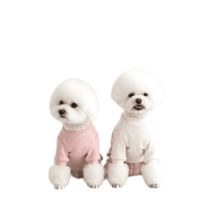 울리 도톰한 기모 올인원 강아지 겨울옷, 민트