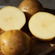 FRESH 무농약 유기농 강원도 제주도 감자, 1박스, 친환경감자 5kg (40~80g)