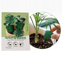 식물키우기 아이비 관엽 화분비료 2입 5개, 쿠팡업 본상품선택