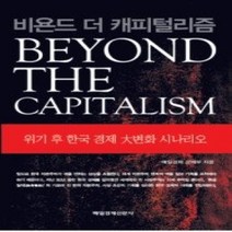 [개똥이네][중고-최상] 비욘드 더 캐피털리즘
