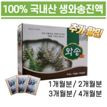 무첨가 햇와송즙 백년와송 농축액기스 건강즙 100ml*60포 120포 박스포장 농장직배송, 생와송즙 60포 1개월분