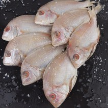국내산 꽃돔 도미 손질생선 2kg 28미 내외, 단품