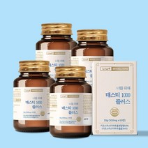 스캇나인 너를 위해 위건강 그리스산 매스틱 1000 플러스 60정, 4개