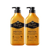 엘라스틴 프로폴리테라샴푸 손상모발용, 2개, 500ml