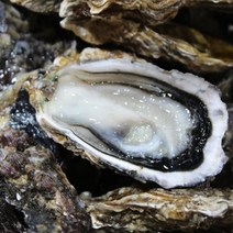 [장보리] 국내산 입망 석화 10kg, 상세 설명 참조