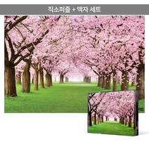 2000피스 직소퍼즐 액자세트 - 벚꽃길 (미니)(액자포함), 단품, 단품