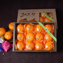 (롯데백화점)제주 서귀포 레드향 선물세트 2.7kg (실중량/20과내외) x 2박스
