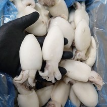 업소용 베이비갑오징어 20/40 2kg