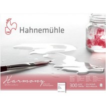 Hahnemuhle Harmony Watercolor Block Cold Pressed 12x16 inches 12 Sheets White, 한개옵션0