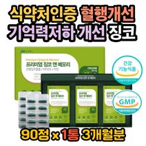 머리아플때 기억력좋아지는법 은행잎효능 뇌영양제 뇌 플라보노이드효능 플라보노이드효과 징코효능 징코효과 뇌건강 혈액순환영양제 레시틴효능 레시틴효과 머리아플때 징코권장량