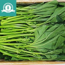 초록마트 아욱 업소용 식당용 쌈채소, 9개, 4kg
