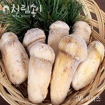 (청림송이 능이) 자연산 냉동송이버섯 (특품), 냉동송이/BM/1kg, 1개