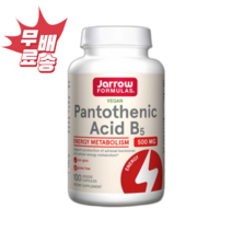 자로우 포뮬러스 판토텐산 B5 500mg 100 베지 캡슐 칼슘 비타민 B5, 1개, 100캡슐