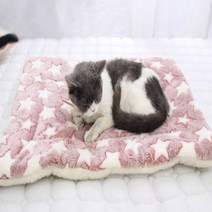 강아지유모차라이너 산책매트 다이소 코스트코 개모차 방석, 2호