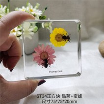 조각품 진짜 식물 곤충 견본 거북이 머리 거미 잠자리 불가사리 수지 홈 테이블, 02 2