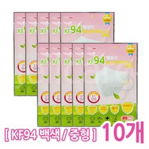 웰클린 황사마스크 KF94 백색 중형 1매입/미세먼지, 10매, 1개
