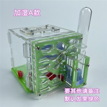 아크릴개미집 개미농장 곤충키우기 사육장 관찰, B1 레드개