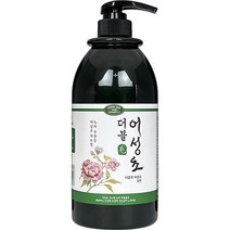 (어성초 자소엽 녹차추출물로 모발을 자신있게) 더블모 어성초 샴푸 1000mL, 1개