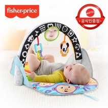 피셔프라이스 휴대용 아기체육관