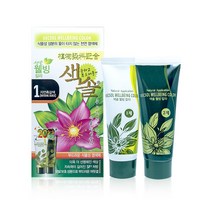 프라나 색솔 웰빙 칼라 - 옻 안타는 천연염색제 140g(자연흑갈색 자연갈색), 자연흑갈색